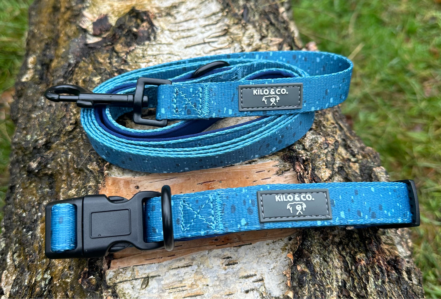 Dog Collar and Lead Set - Speckled Egg