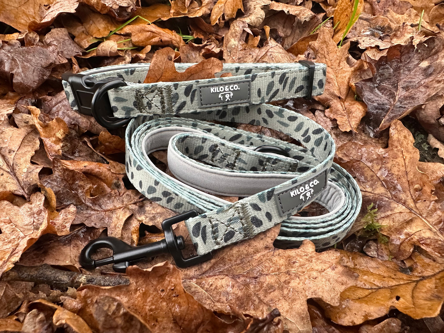 Dog Collar and Lead Set - Olive Tree