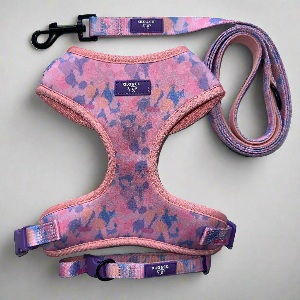 Adjustable Harness, Collar and Lead Set - Purely Pastels