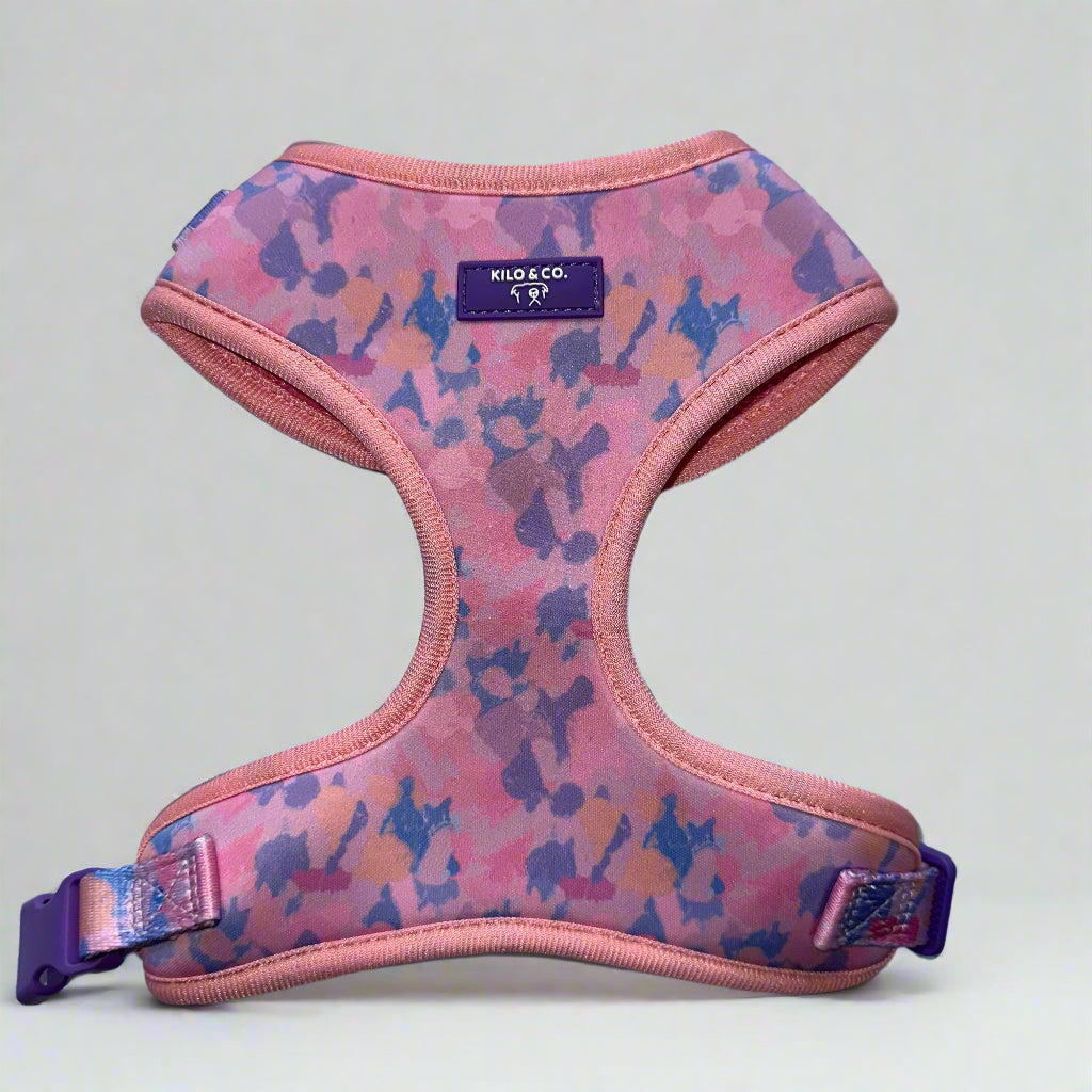 Adjustable Harness, Collar and Lead Set - Purely Pastels