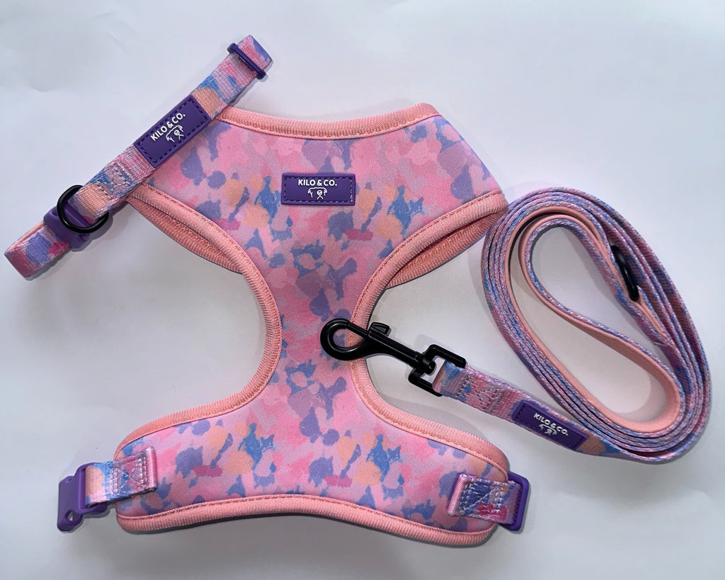 Adjustable Harness, Collar and Lead Set - Purely Pastels