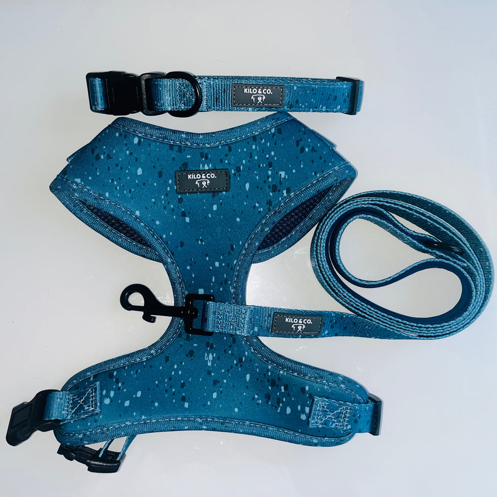 Adjustable Harness, Collar and Lead Set - Speckled Egg