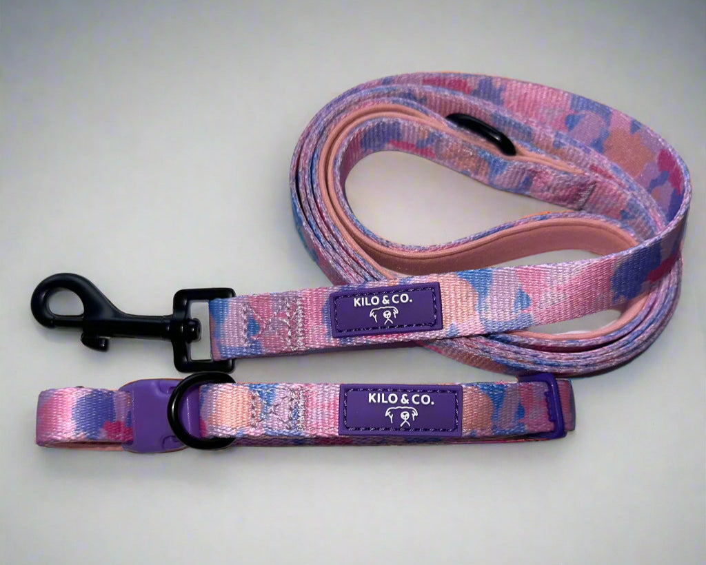 Dog Collar and Lead Set - Purely Pastels