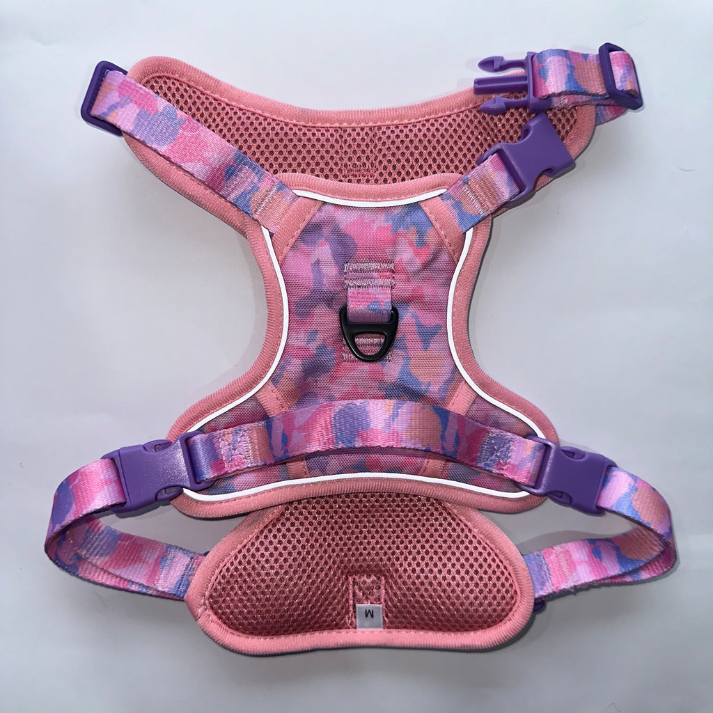 Non-Pull Harness, Collar and Lead Set - Purely Pastels