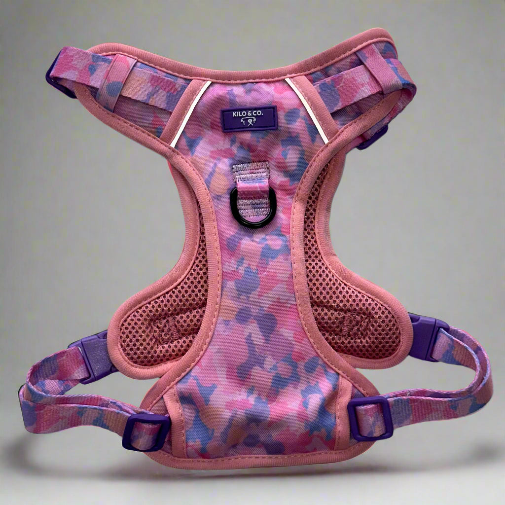 Non-Pull Harness, Collar and Lead Set - Purely Pastels