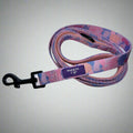 Dog Lead - Purely Pastels