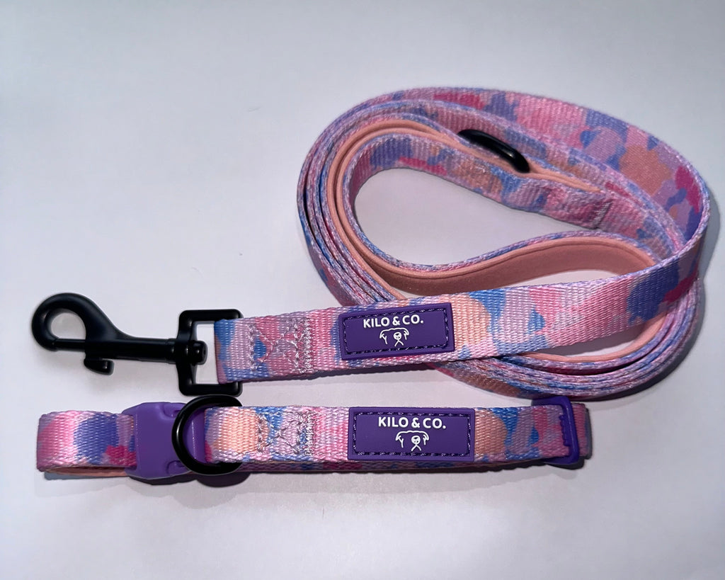Non-Pull Harness, Collar and Lead Set - Purely Pastels