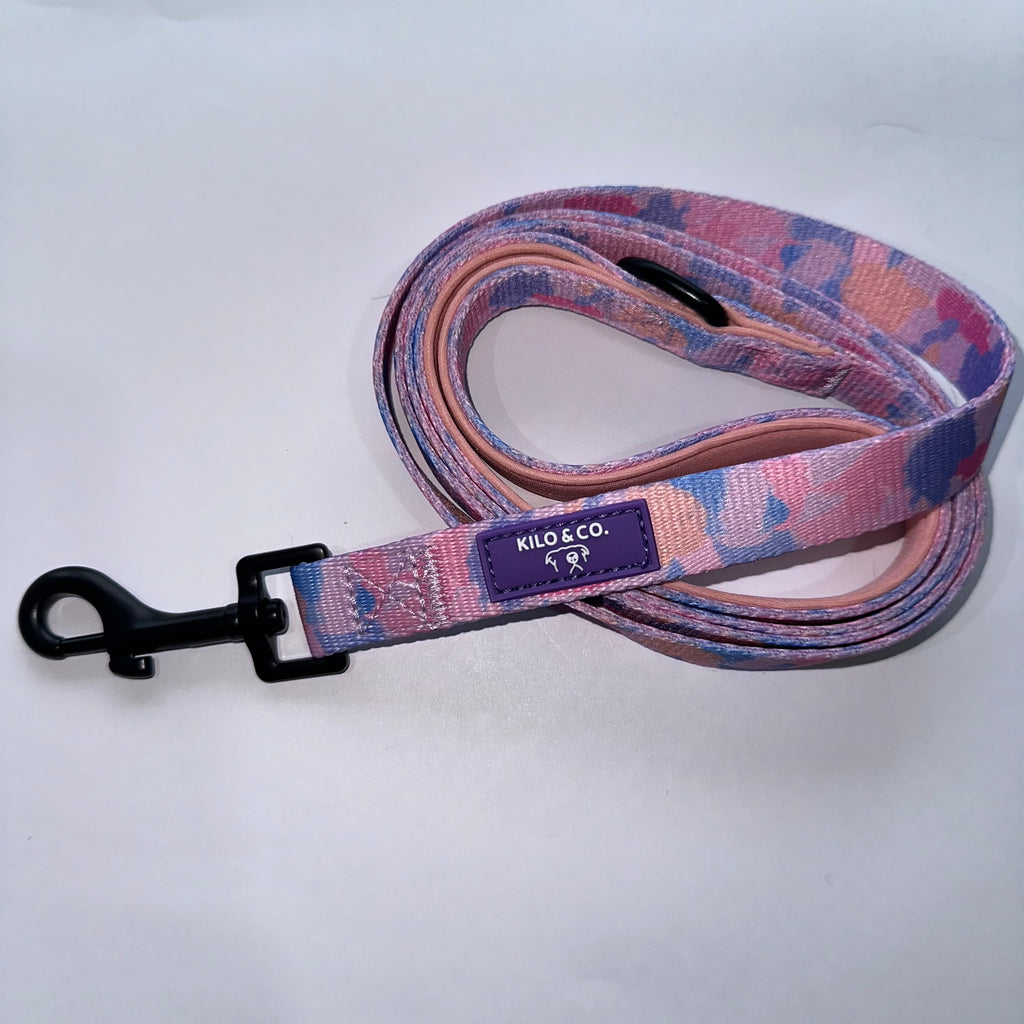 Dog Collar and Lead Set - Purely Pastels