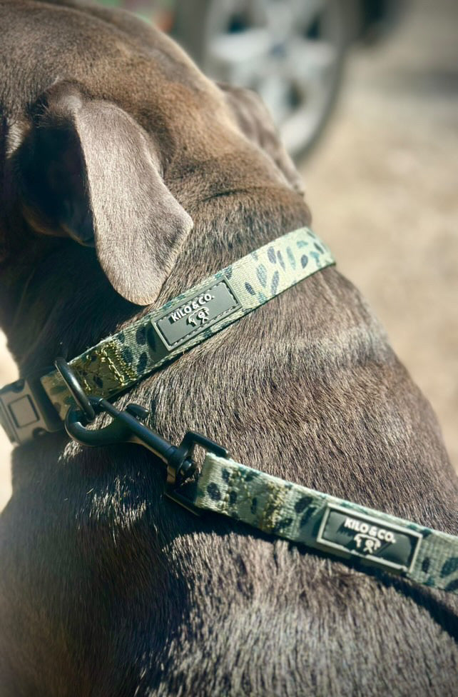 Dog Collar - Olive Tree