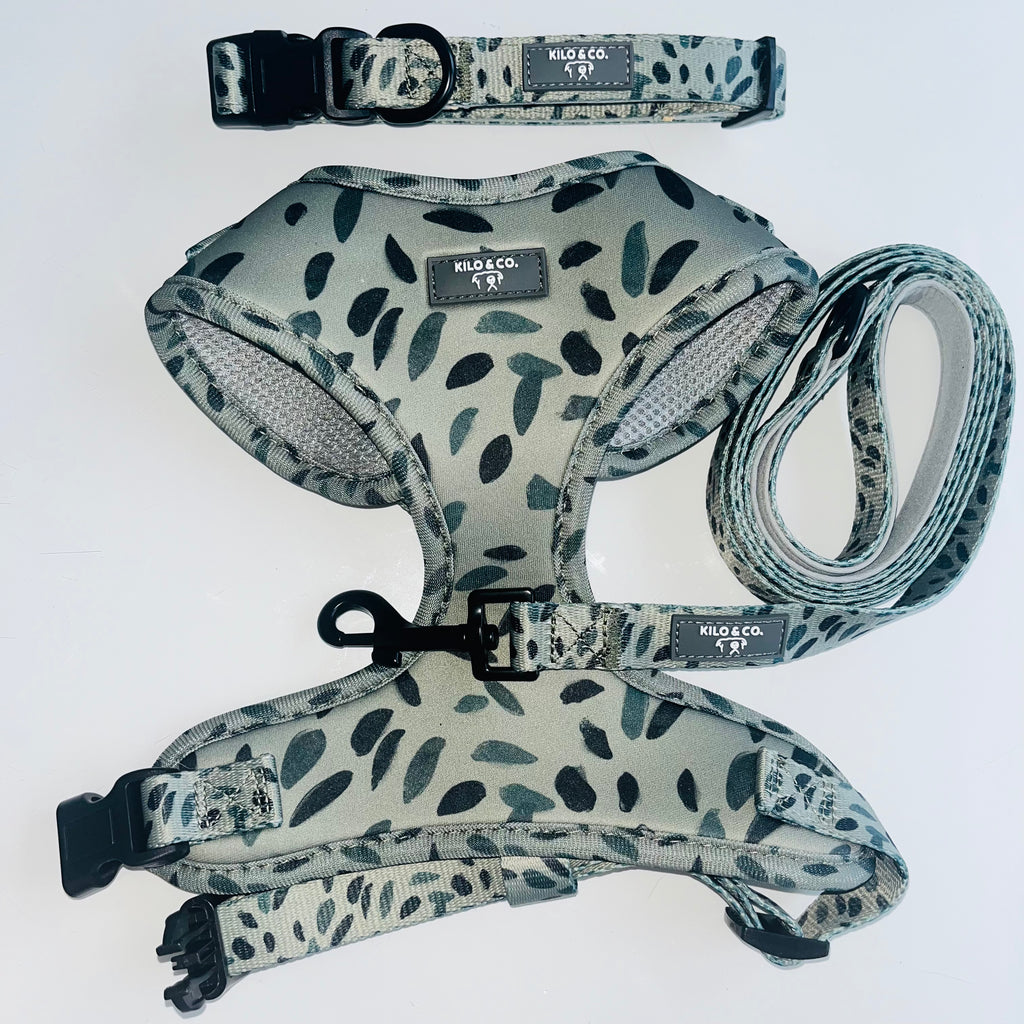 Adjustable Harness, Collar and Lead Set - Olive Tree