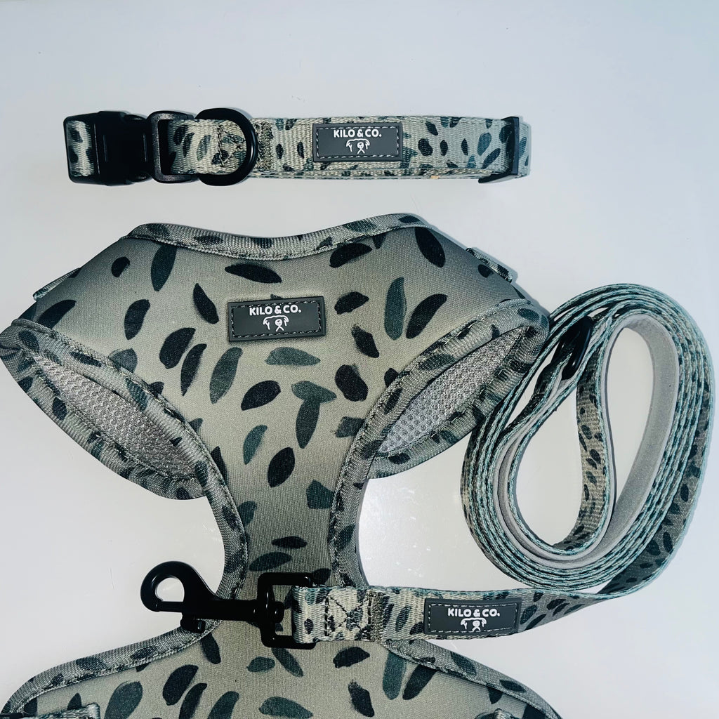Adjustable Harness, Collar and Lead Set - Olive Tree