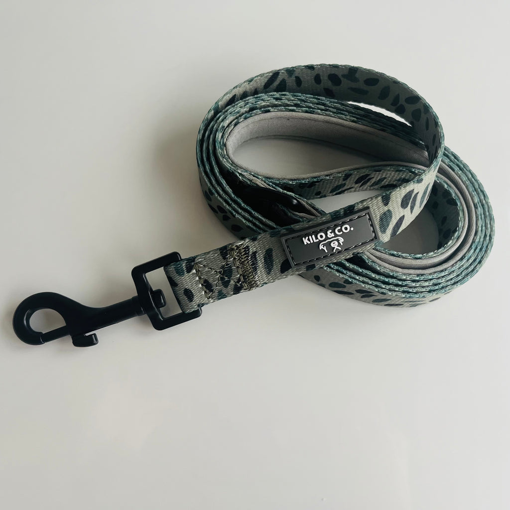 Adjustable Harness, Collar and Lead Set - Olive Tree