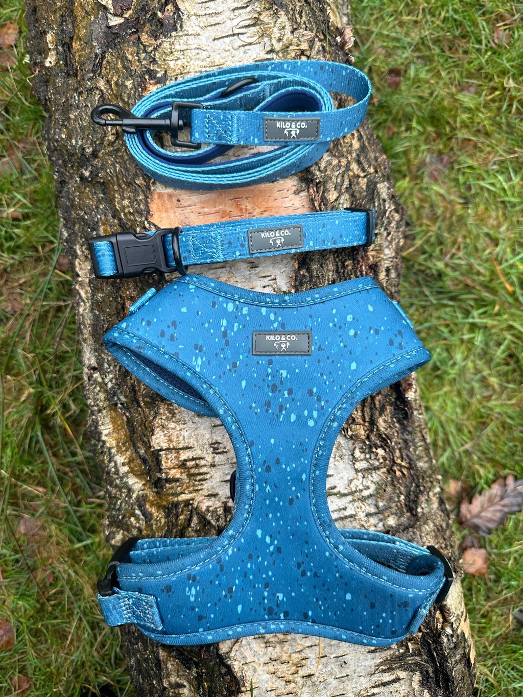 Adjustable Harness, Collar and Lead Set - Speckled Egg