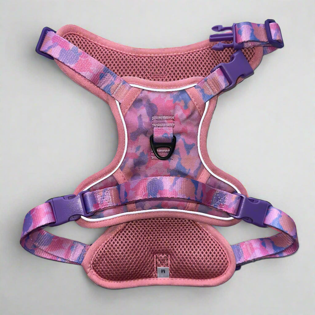 Non-Pull Harness - Purely Pastels