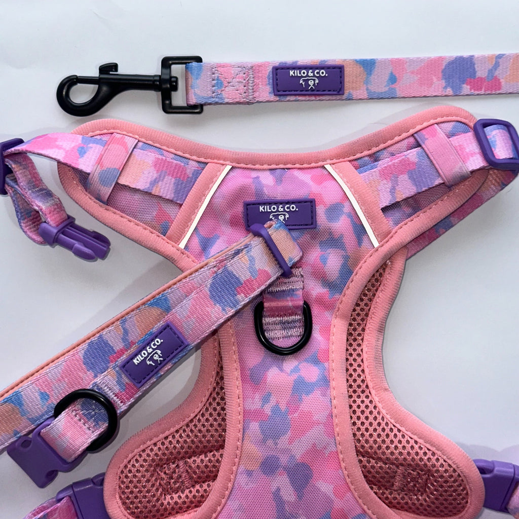 Non-Pull Harness, Collar and Lead Set - Purely Pastels