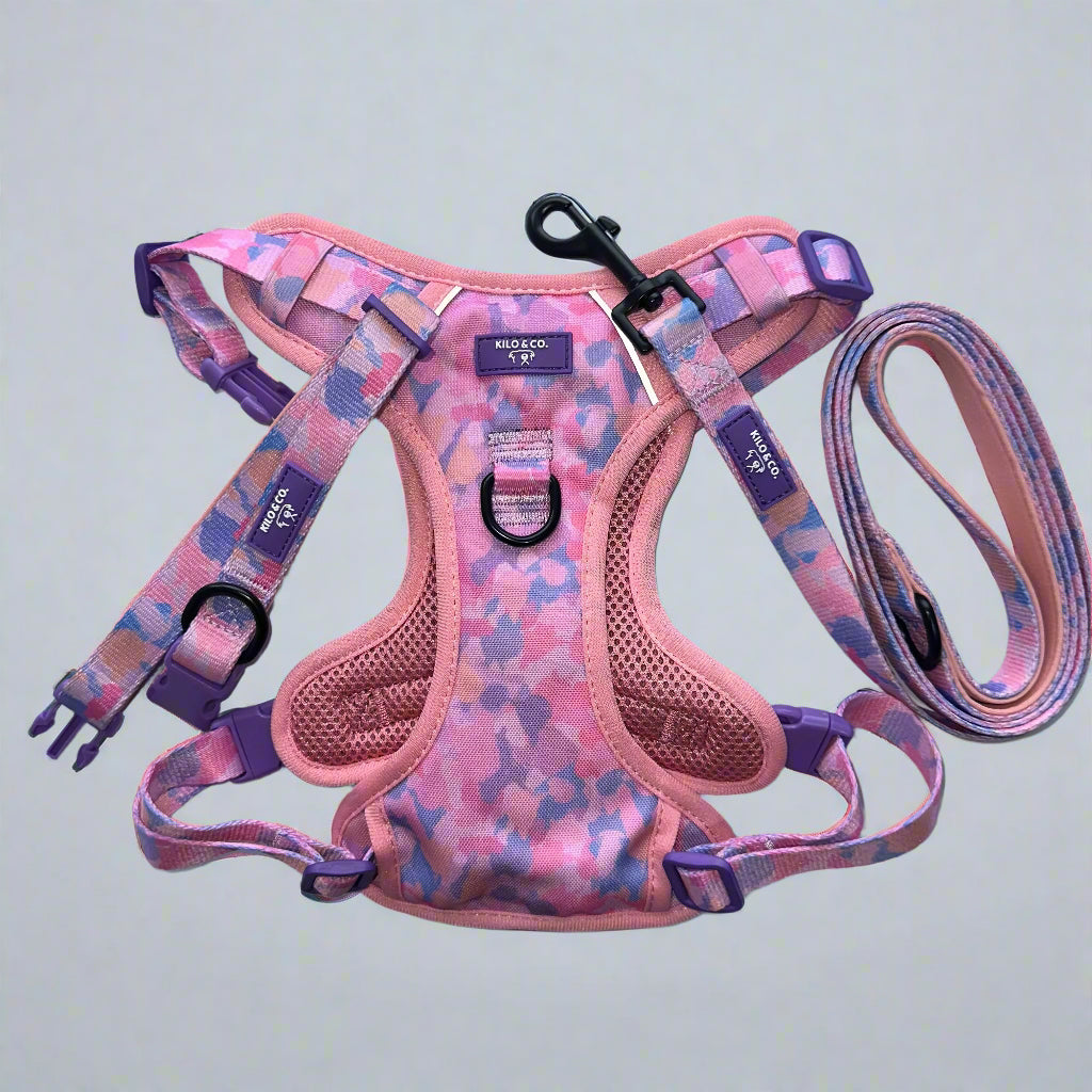 Non-Pull Harness, Collar and Lead Set - Purely Pastels