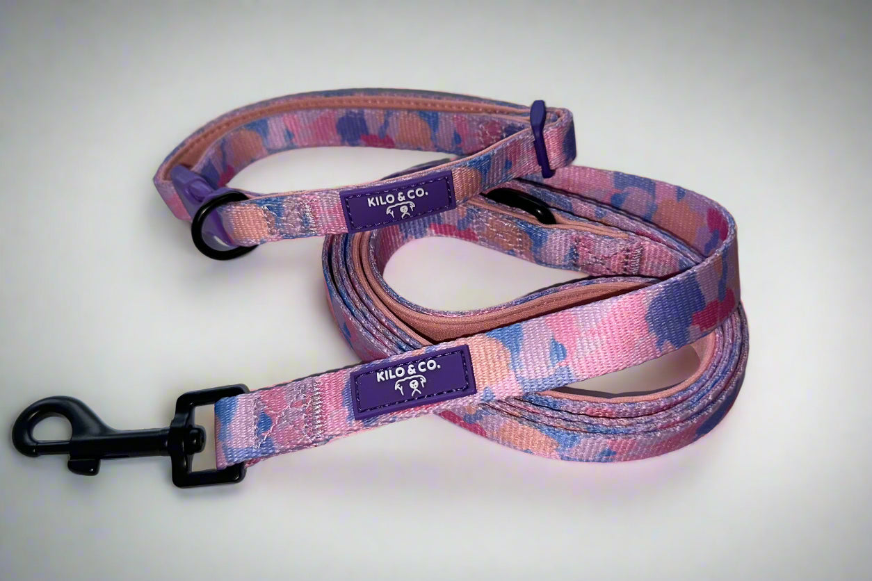 Dog Collar and Lead Set - Purely Pastels