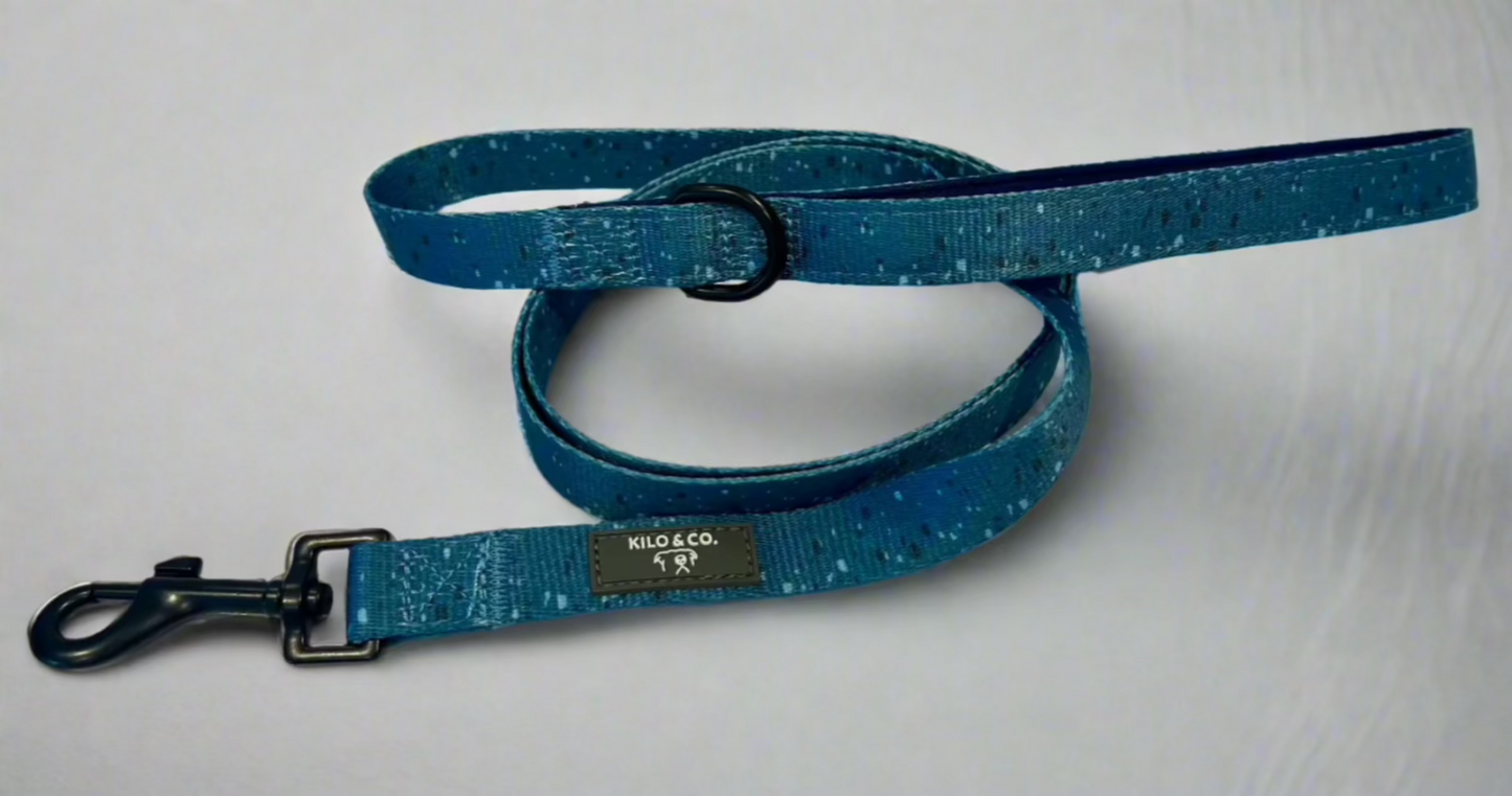 Harness, Collar and Lead Set - Speckled Egg